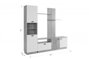 МОДИ Гостиная (модульная) белое дерево в Соликамске - solikamsk.mebel24.online | фото 2