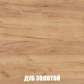 МСП-1 Шкаф 2-х створчатый (Дуб Золотой/Камень темный) в Соликамске - solikamsk.mebel24.online | фото 4