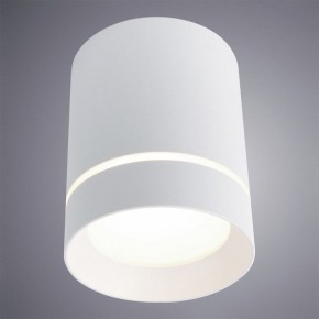 Накладной светильник Arte Lamp Elle A1949PL-1WH в Соликамске - solikamsk.mebel24.online | фото 2