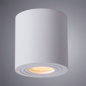 Накладной светильник Arte Lamp Galopin A1460PL-1WH в Соликамске - solikamsk.mebel24.online | фото 2