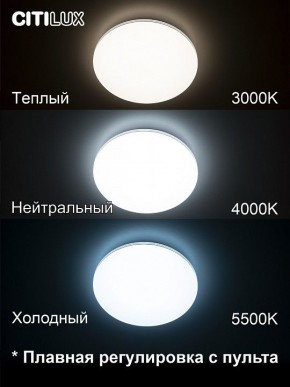 Накладной светильник Citilux Симпла CL714330G в Соликамске - solikamsk.mebel24.online | фото 4
