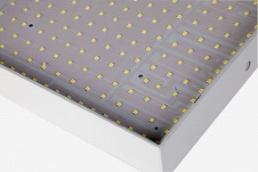 Накладной светильник Favourite Flashled 2066-30C в Соликамске - solikamsk.mebel24.online | фото 2