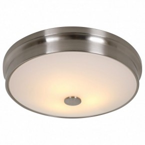Накладной светильник Favourite Pannikin 2691-3C в Соликамске - solikamsk.mebel24.online | фото 2