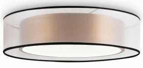 Накладной светильник Freya Zoticus FR6005CL-L36G в Соликамске - solikamsk.mebel24.online | фото 2