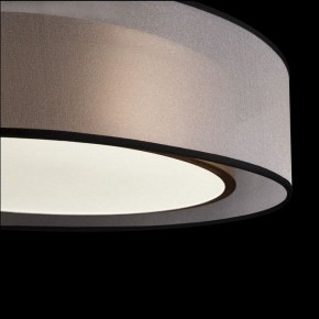 Накладной светильник Freya Zoticus FR6005CL-L36G в Соликамске - solikamsk.mebel24.online | фото 4