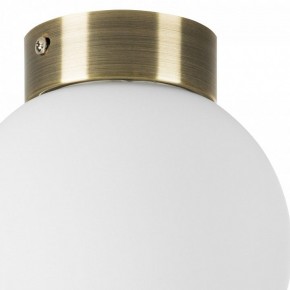 Накладной светильник Lightstar Globo 812011 в Соликамске - solikamsk.mebel24.online | фото 3