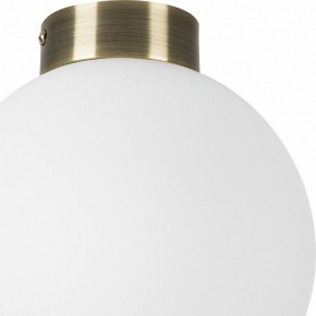 Накладной светильник Lightstar Globo 812021 в Соликамске - solikamsk.mebel24.online | фото 3