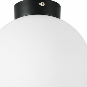 Накладной светильник Lightstar Globo 812027 в Соликамске - solikamsk.mebel24.online | фото 2