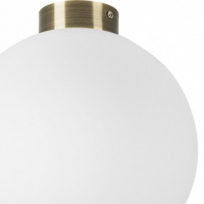 Накладной светильник Lightstar Globo 812031 в Соликамске - solikamsk.mebel24.online | фото 3