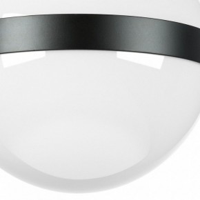 Накладной светильник Lightstar Globo 812117 в Соликамске - solikamsk.mebel24.online | фото 3
