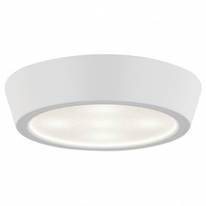 Накладной светильник Lightstar Urbano 214902 в Соликамске - solikamsk.mebel24.online | фото