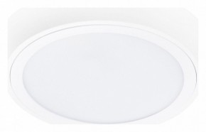Накладной светильник Lightstar Urbano 216902 в Соликамске - solikamsk.mebel24.online | фото 1