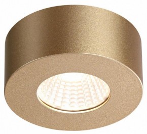 Накладной светильник Odeon Light Bene 4284/7CL в Соликамске - solikamsk.mebel24.online | фото 4