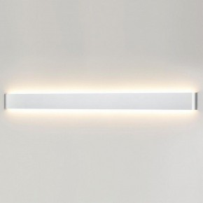 Накладной светильник Odeon Light Framant 4293/40WL в Соликамске - solikamsk.mebel24.online | фото 3