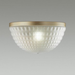 Накладной светильник Odeon Light Malaga 4936/1W в Соликамске - solikamsk.mebel24.online | фото 2