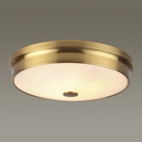 Накладной светильник Odeon Light Marsei 4824/4C в Соликамске - solikamsk.mebel24.online | фото 2