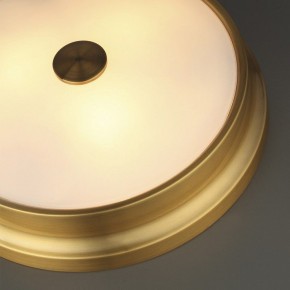 Накладной светильник Odeon Light Marsei 4824/4C в Соликамске - solikamsk.mebel24.online | фото 5