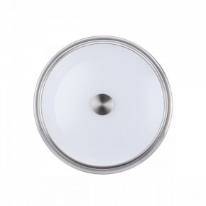 Накладной светильник Odeon Light Marsei 4825/3C в Соликамске - solikamsk.mebel24.online | фото 2