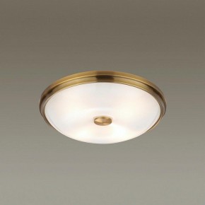 Накладной светильник Odeon Light Pelow 4956/4 в Соликамске - solikamsk.mebel24.online | фото 2