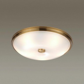 Накладной светильник Odeon Light Pelow 4956/5 в Соликамске - solikamsk.mebel24.online | фото 2