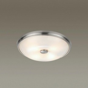 Накладной светильник Odeon Light Pelow 4957/4 в Соликамске - solikamsk.mebel24.online | фото 2
