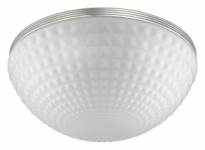 Накладной светильник Odeon Light Pirsa 4937/4C в Соликамске - solikamsk.mebel24.online | фото 2