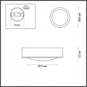 Накладной светильник Odeon Light Reus 4342/7CL в Соликамске - solikamsk.mebel24.online | фото 4