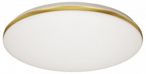 Накладной светильник Sonex Lassa 3043/DL в Соликамске - solikamsk.mebel24.online | фото 5