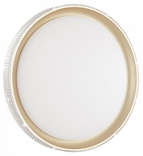 Накладной светильник Sonex Shiny 3054/EL в Соликамске - solikamsk.mebel24.online | фото 3