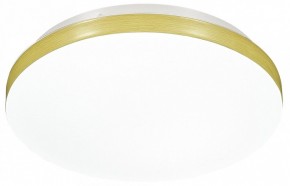Накладной светильник Sonex Smalli 3066/AL в Соликамске - solikamsk.mebel24.online | фото 4