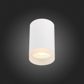 Накладной светильник ST-Luce ST100 ST100.502.01 в Соликамске - solikamsk.mebel24.online | фото 4
