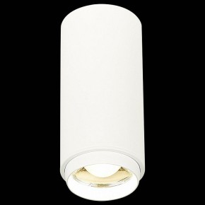 Накладной светильник ST-Luce Zoom ST600.542.10 в Соликамске - solikamsk.mebel24.online | фото 3