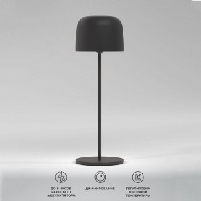 Настольная лампа декоративная Elektrostandard Bitty a069002 в Соликамске - solikamsk.mebel24.online | фото 2