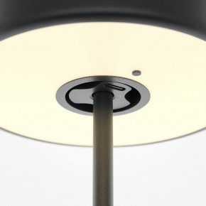Настольная лампа декоративная Maytoni AI Collaboration MOD229TL-L3B3K2 в Соликамске - solikamsk.mebel24.online | фото 5