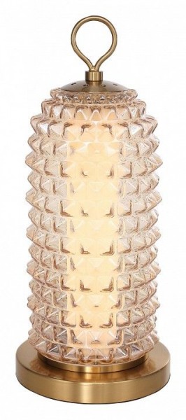 Настольная лампа декоративная ST-Luce SAGUARO SL6144.304.01 в Соликамске - solikamsk.mebel24.online | фото 2