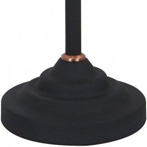 Настольная лампа офисная Arte Lamp Braccio A2054LT-1BK в Соликамске - solikamsk.mebel24.online | фото 4