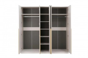 НИКОЛЬ 25 Шкаф 5-ти створчатый в Соликамске - solikamsk.mebel24.online | фото 3