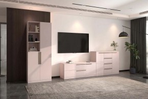 НИКОЛЬ Гостиная (модульная) в Соликамске - solikamsk.mebel24.online | фото 1