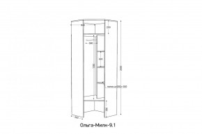 ОЛЬГА-МИЛК 9.1 Шкаф угловой без зеркала в Соликамске - solikamsk.mebel24.online | фото 2
