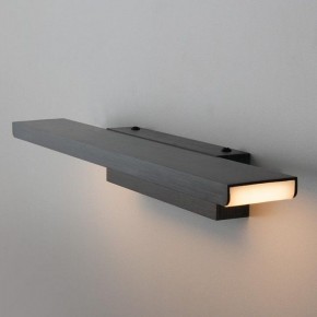 Подсветка для картины Elektrostandard Sankara a037485 в Соликамске - solikamsk.mebel24.online | фото 2