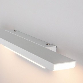 Подсветка для картины Elektrostandard Sankara a038372 в Соликамске - solikamsk.mebel24.online | фото 3