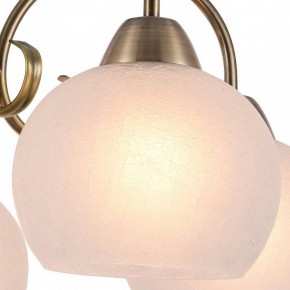 Подвесная люстра Arte Lamp Margo A9317LM-5AB в Соликамске - solikamsk.mebel24.online | фото 2