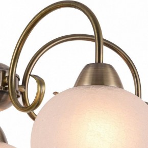 Подвесная люстра Arte Lamp Margo A9317LM-5AB в Соликамске - solikamsk.mebel24.online | фото 3