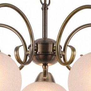 Подвесная люстра Arte Lamp Margo A9317LM-5AB в Соликамске - solikamsk.mebel24.online | фото 4