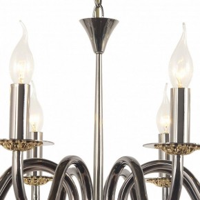Подвесная люстра Arti Lampadari Pontone Pontone E 1.1.8 PB в Соликамске - solikamsk.mebel24.online | фото 3