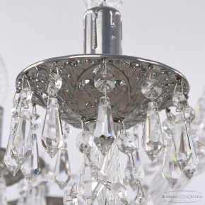 Подвесная люстра Bohemia Ivele Crystal AL1603 AL16303/10/300 CG в Соликамске - solikamsk.mebel24.online | фото 6