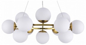 Подвесная люстра EVOLUCE Fratta SLE1191-203-12 в Соликамске - solikamsk.mebel24.online | фото