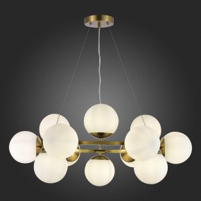 Подвесная люстра EVOLUCE Fratta SLE1191-203-12 в Соликамске - solikamsk.mebel24.online | фото 5