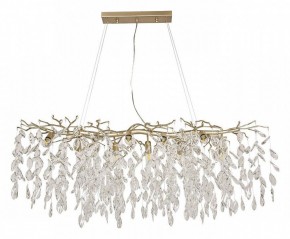 Подвесная люстра Favourite Brillo 3056-10P в Соликамске - solikamsk.mebel24.online | фото 2