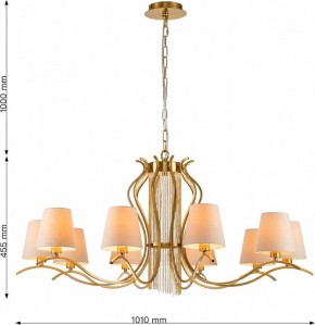 Подвесная люстра Favourite Ketten 2867-10P в Соликамске - solikamsk.mebel24.online | фото 4